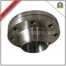 Stainless Steel Welding Neck Flanges (YZF-FZ169)